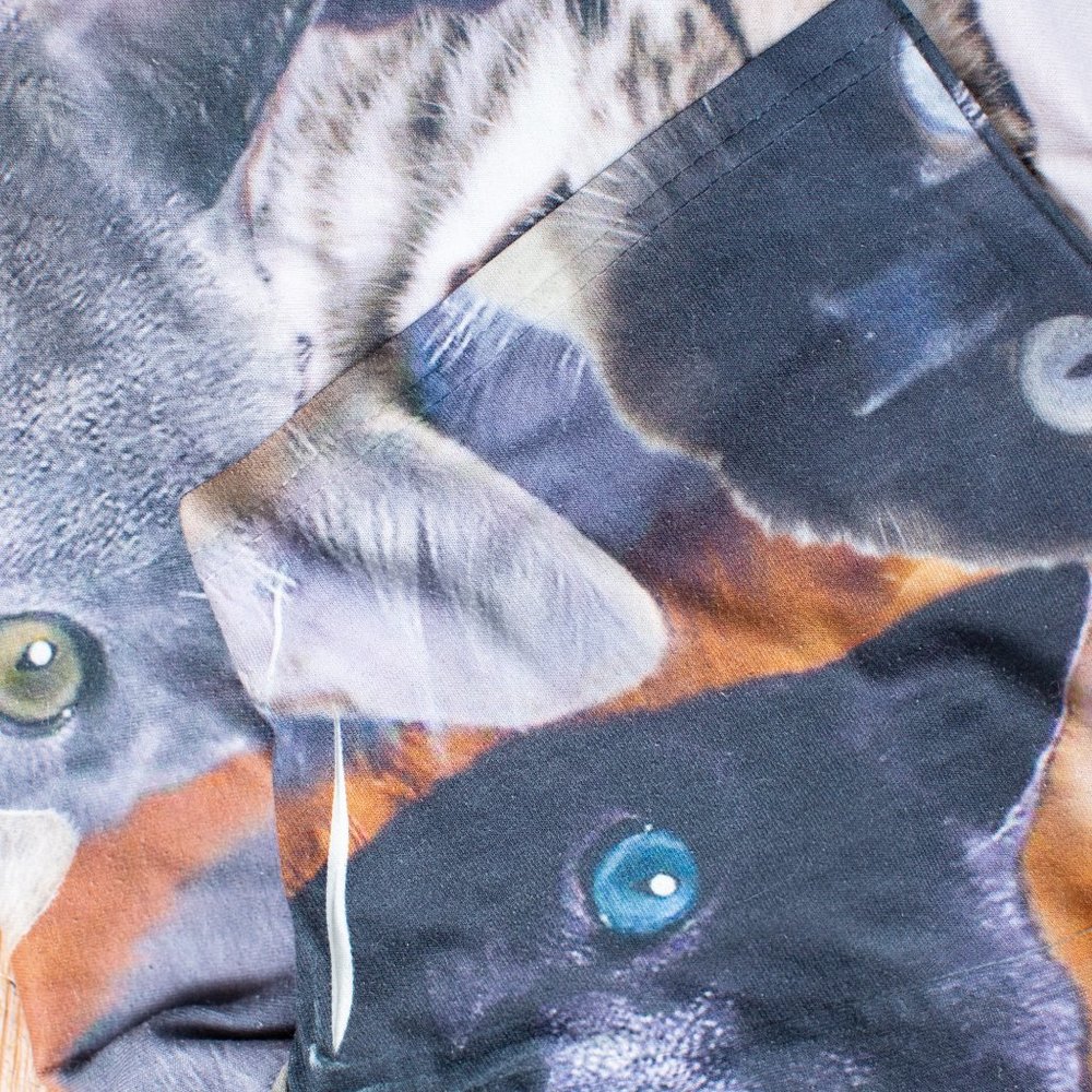 Funny Cat Kitten T-shirt Size L - Picture 6 of 9